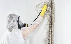 Best Dehumidification Services  in New Albany, OH